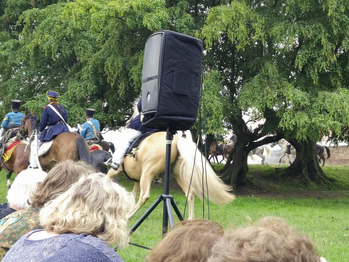 Battle of Waterloo Reenacting (Belgium)